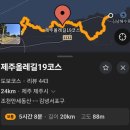 서포약국 | [제주도올레길] 올레길19코스 우중 탐방기