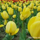 국제문화교류관 야외정원 이미지