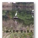 [明心寶鑑(명심보감) 15. 治家篇(치가편)]03. 어리석은 사람은 아내를 두려워한다.-이런저런 이랴기-2 이미지