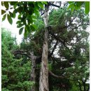 너부대근린공원 이미지