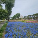 증평대교 앞 이미지