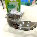 해맑은바다 | 내돈내산 10개월 아기 후기 이유식 재료 리뷰_해맑은 바다모음 파래가루, 찐톳, 자른미역, 매생이 (찐톳...