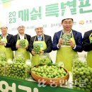 광양매실생산자단체