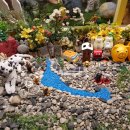 J@야니스타일 이미지