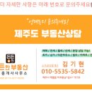 하귀환승정류장 이미지