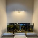 골든타임핏 이미지