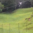 윤승호농장 이미지