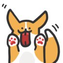 딩펫 펫살롱 고운점 네이버블로그