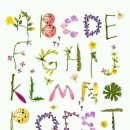 영어로~~^^;; 이미지