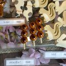 2025.04 오사카+교토 (3)