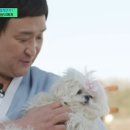 (유)하늘빛에너지 MK스포츠