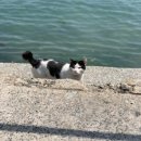 행암로-1 | 진해 오성횟집 야장 낮술 후기｜오션뷰 횟집 추천