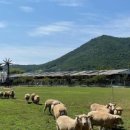 드림1농장 이미지