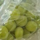 복주농장 이미지