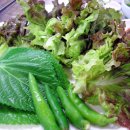 꼬독꼬독 이미지