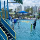 울림공원(물놀이장) 이미지