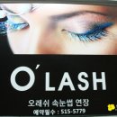 오래쉬(O’LASH) 네이버블로그