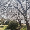 호수공원 옆 화장실 이미지