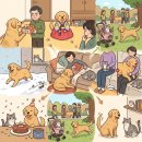 털뭉치들 Daum카페