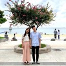 허안나 카카오 검색결과