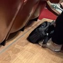 부산시민회관 | 부산 시민회관 『 맘마미아 뮤지컬 』 후기 + 아쉬웠던 점