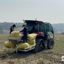 안정왕겨 이미지