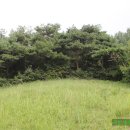 이백지 묘 이미지