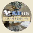 가나다 동물병원 이미지