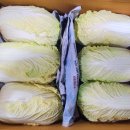 알배기