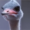 이창농장 이미지