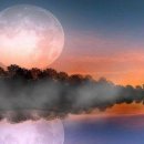 별그대 민박 이미지