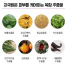 쁘띠앙쥬 어린이집 | 올인원 아기바디워시 샴푸추천 - 쁘띠앙쥬 샴푸 앤 바스 & 샴푸 애드솔루션