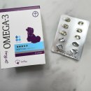 마이독 프리미엄 펫 스튜디오 이미지