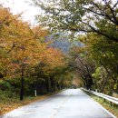 월악산오토캠핑장 이미지