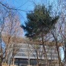 CU 건대상허도서관점 | 건국대학교 서울캠퍼스 AI부트캠프_1일차 보조출강 후기, 챗gpt 제미나이 노트북LM