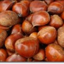 가산글램핑 이미지