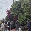 서귀포시동부도서관 이미지