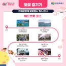 진해 군항제 2026 일정,여좌천 로망스다리, 경화역, 꿀팁까지