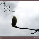 사랑그리기 이미지