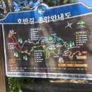 코스탑종합정비 | 청남대 산책코스 추천 봉황의 숲 전망대 전경 대청호 데코길
