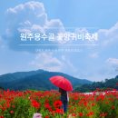 용수골꽃양귀비축제 | 원주 꽃명소, [원주용수골꽃양귀비축제] 방문 후기 (입장료, 축제정보, 개화상황)