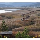 송광약국 이미지