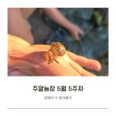 매정농장 네이버블로그