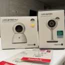 돌고래아구찜 | 중기도 마무리 / 임당검사 / 체질 복권 유니콘임산부 ( 23 - 27주 )