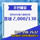 나성동_에스제이타워앞BRT | 황소플러스공인중개사사무소 나성동 일반상가 에스제이타워 1층 월세 2,000/130