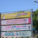 착한정비센터(도당점) | 창원 반려견 놀이터 추천! 여긴 꼭 가야 돼! ‘펫빌리지 창원점’ 후기 🐶🌳