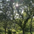 하버드골프연습장 이미지