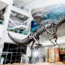 서대문자연사박물관 이미지