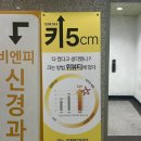 계룡로(유성온천역-만년교) 이미지