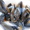 해금강천년송횟집 이미지